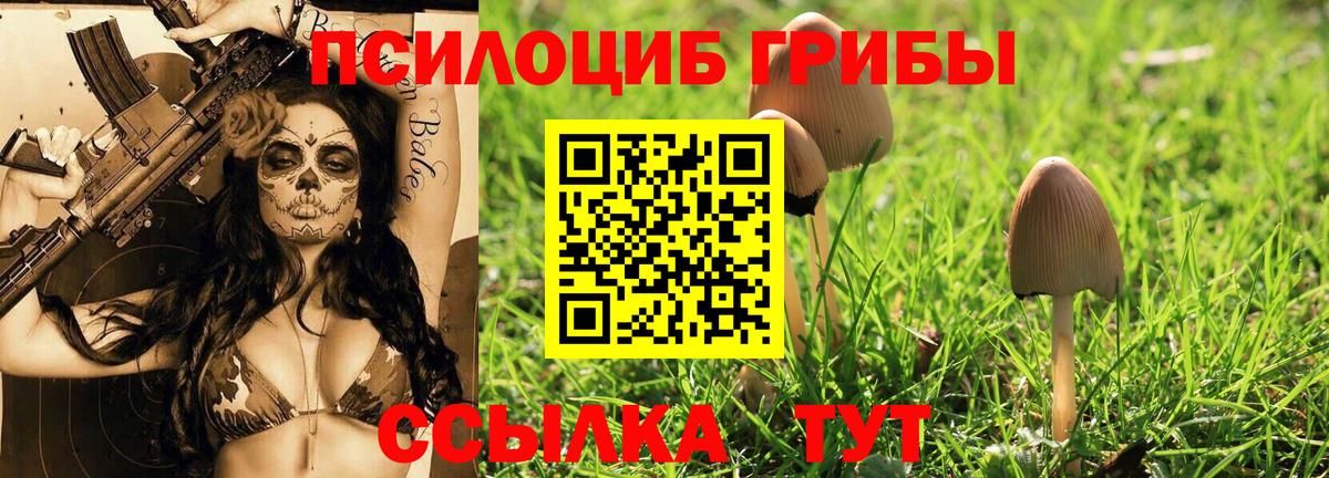 Галлюциногенные грибы Magic Shrooms  Галлюциногенные грибы мицелий  Вход с VPN  Всеволожск 